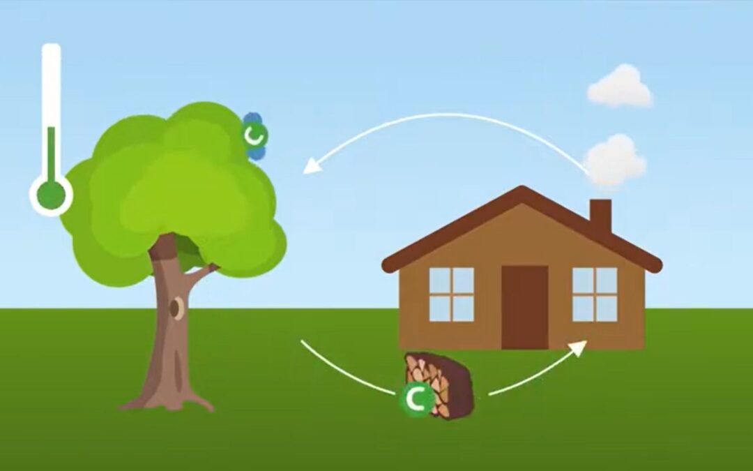 Δάσος και Κλιματική Αλλαγή (Wald und Klimaschutz)