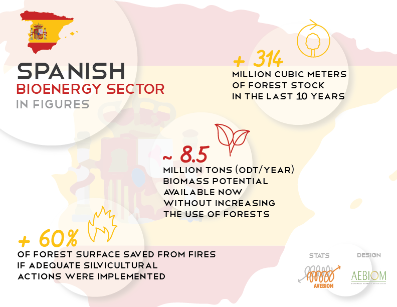Ισπανία: Ο κλάδος βιοενέργειας σε αριθμούς (Πηγή: ΑΕΒΙΟΜ & AVEBIOM)