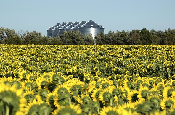Ποιο είναι το μέλλον για τα βιοκαύσιμα στην ΕΕ;