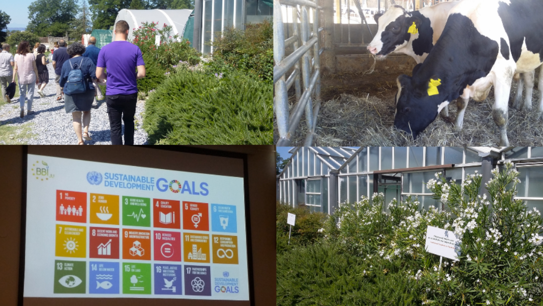 5ο Διεθνές Θερινό Σχολείο στην Κυκλική Βιοοικονομία και τη Βιώσιμη Ανάπτυξη