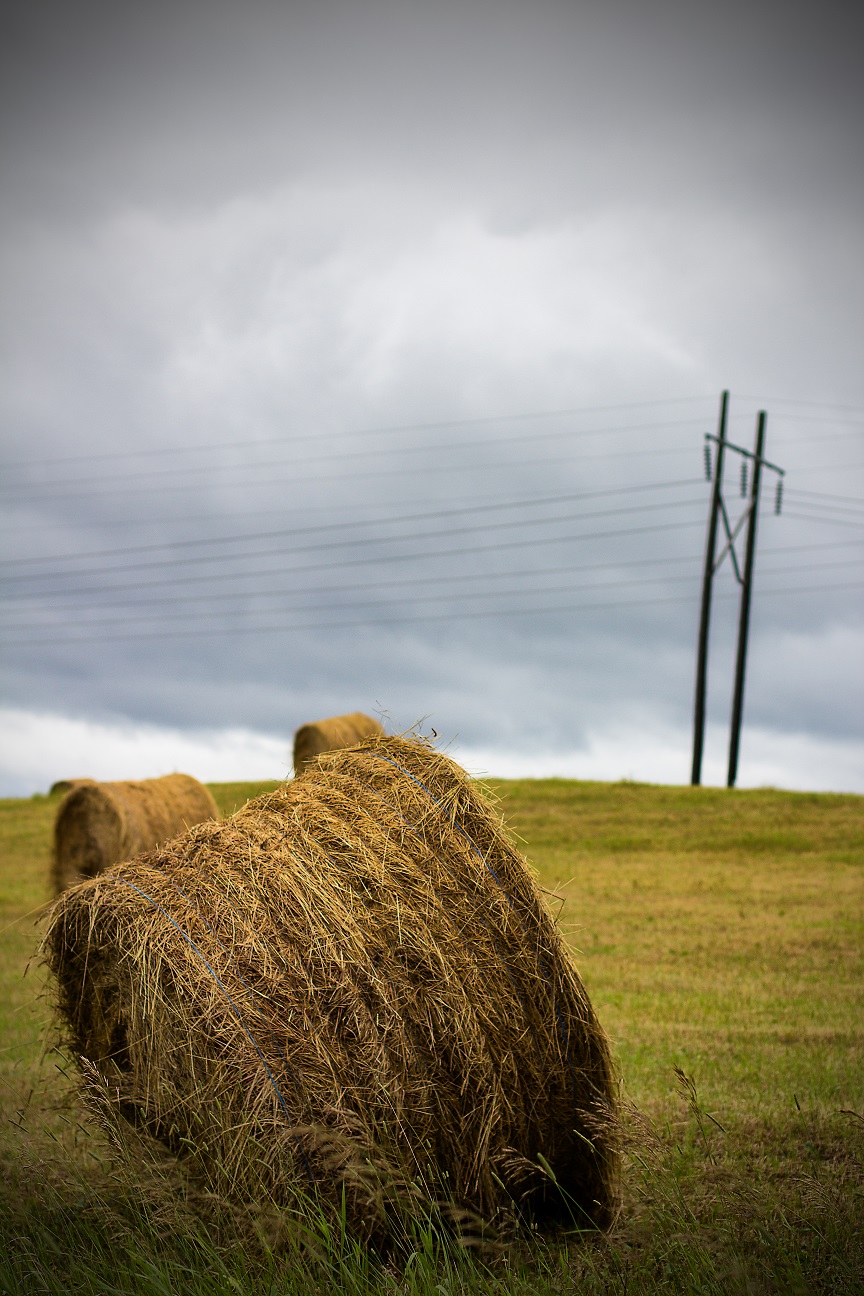 Biomass_Power_Generation_01