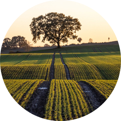 ΔΕΛΤΙΟ ΤΥΠΟΥ: Ικανοποίηση του Bioenergy Europe και της ΕΛΕΑΒΙΟΜ για την αναγνώριση του ρόλου της Bιοενέργειας στη νέα Στρατηγική της ΕΕ για τη Βιοοικονομία