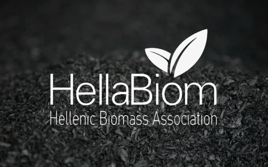 ΔΕΛΤΙΟ ΤΥΠΟΥ: Συμμετοχή της ΕΛΕΑΒΙΟΜ στη δημόσια ηλεκτρονική διαβούλευση για το σχέδιο νόμου ΥΠΕΝ σχετικά με τη δέσμευση, χρήση, μεταφορά και αποθήκευση CO₂