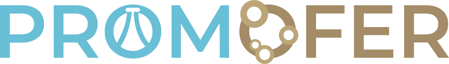 Logo_PROMOFER