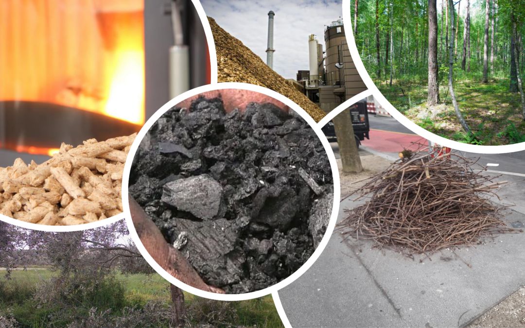 Βιομάζα στην Ελλάδα: Τα κρίσιμα ζητήματα της επόμενης μέρας όπως αναδείχθηκαν σε Verde.tec και Forward Green – Άρθρο στο energypress