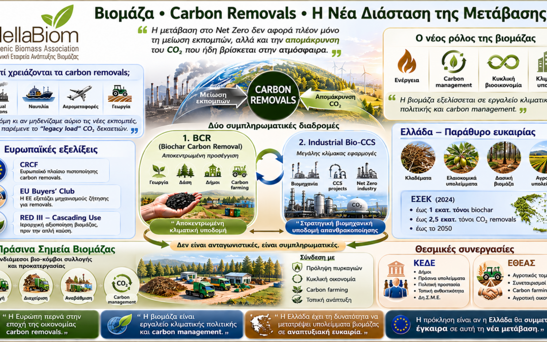Infographic: Βιομάζα & Απορροφήσεις Άνθρακα (Carbon Removals)