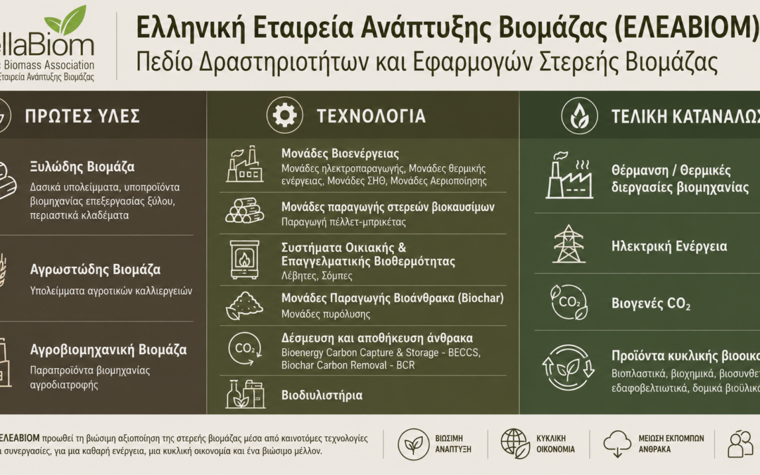 Infographic: Πεδίο Δραστηριοτήτων & Εφαρμογών Στερεής Βιομάζας