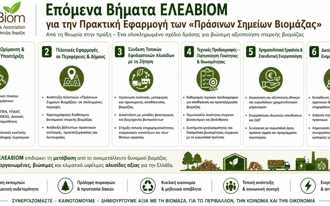 Infographic: Πράσινα Σημεία Βιομάζας – Οδικός Χάρτης Εφαρμογής